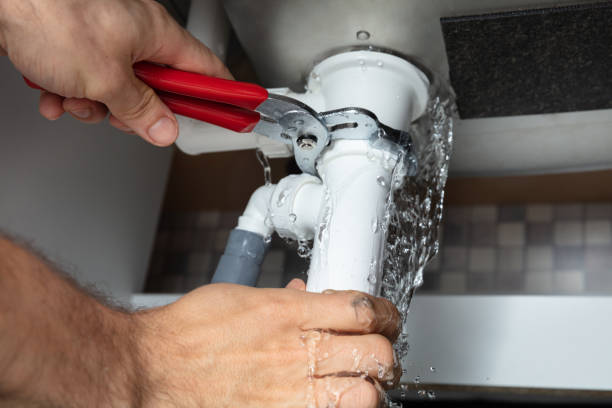 Best Mold removal after water damage  in Walnut Creek, CA
