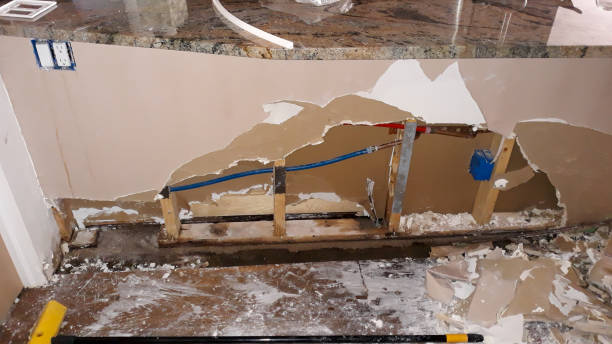 Best Water damage cleanup near me  in Walnut Creek, CA