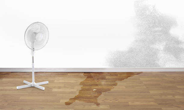 Best Water damage contractors near me  in Walnut Creek, CA