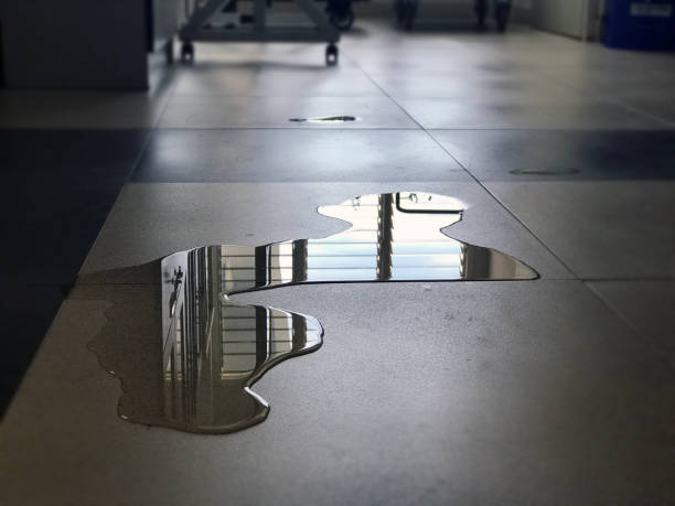 Best Water damage mitigation services  in Walnut Creek, CA