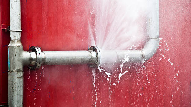 Best Local water damage restoration  in Walnut Creek, CA